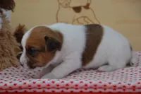 processed/75637532-d230-4c1d-88ea-35d8e3db83c3/listing/f7fd3ad9-971b-419f-b926-67f2ed2ceb61/0a9d6cc6-e120-4589-91be-0752017d055c