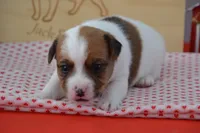 processed/75637532-d230-4c1d-88ea-35d8e3db83c3/listing/f7fd3ad9-971b-419f-b926-67f2ed2ceb61/57772c8b-2150-4800-b293-aa5010dc5c2e