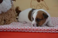 processed/75637532-d230-4c1d-88ea-35d8e3db83c3/listing/f7fd3ad9-971b-419f-b926-67f2ed2ceb61/7f4974cf-837d-4b4b-b187-08b9db1de4f4