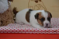 processed/75637532-d230-4c1d-88ea-35d8e3db83c3/listing/f7fd3ad9-971b-419f-b926-67f2ed2ceb61/a278e173-693c-459b-a074-6f774cb42cc0