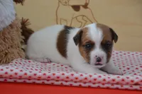 processed/75637532-d230-4c1d-88ea-35d8e3db83c3/listing/f7fd3ad9-971b-419f-b926-67f2ed2ceb61/c360f3e5-0e0c-47b7-ac18-6f8a1026ea4e