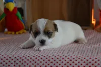 processed/75637532-d230-4c1d-88ea-35d8e3db83c3/listing/f8035a5e-99df-474c-b795-9e5ea343e347/081af4cf-a6bd-45ce-9e78-a3ac9a2cefe6