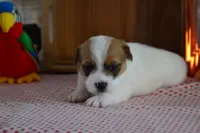 processed/75637532-d230-4c1d-88ea-35d8e3db83c3/listing/f8035a5e-99df-474c-b795-9e5ea343e347/37ae2a01-283b-411f-a990-b2c336b7d9b4