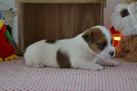 processed/75637532-d230-4c1d-88ea-35d8e3db83c3/listing/f8035a5e-99df-474c-b795-9e5ea343e347/536bcbbc-43d1-4122-bf1c-b580c3346da5