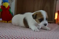 processed/75637532-d230-4c1d-88ea-35d8e3db83c3/listing/f8035a5e-99df-474c-b795-9e5ea343e347/608d515b-ccf0-4732-adca-fd83a457be1f