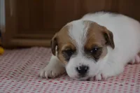 processed/75637532-d230-4c1d-88ea-35d8e3db83c3/listing/f8035a5e-99df-474c-b795-9e5ea343e347/8f1b6dad-317a-45cf-94e6-531353451b46