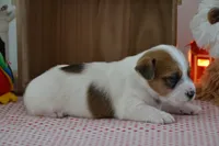 processed/75637532-d230-4c1d-88ea-35d8e3db83c3/listing/f8035a5e-99df-474c-b795-9e5ea343e347/9bcafcba-011c-4ce0-a4e8-3ceff007f998