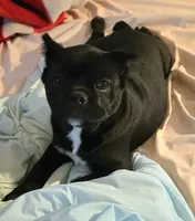 processed/7567da10-740f-48e9-90d0-6aa9885109c0/listing/5ded935b-8de0-4b4a-9c21-dff3e3f18220/095311b7-2c19-45f2-a710-f6bc08595194