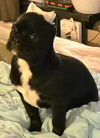 processed/7567da10-740f-48e9-90d0-6aa9885109c0/listing/5ded935b-8de0-4b4a-9c21-dff3e3f18220/19b5e2e1-eeee-4322-afb9-8f3fad94bf95