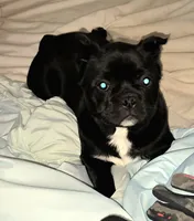 processed/7567da10-740f-48e9-90d0-6aa9885109c0/listing/5ded935b-8de0-4b4a-9c21-dff3e3f18220/4dee082f-9fe2-492c-9080-8f3061024d51