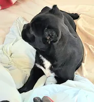 processed/7567da10-740f-48e9-90d0-6aa9885109c0/listing/5ded935b-8de0-4b4a-9c21-dff3e3f18220/a72fa40a-1f58-4e89-9c6e-6f99b8135038