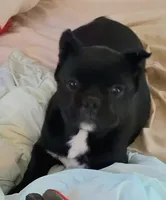 processed/7567da10-740f-48e9-90d0-6aa9885109c0/listing/5ded935b-8de0-4b4a-9c21-dff3e3f18220/c47507a7-f20f-473a-b00b-a87ca00e8958