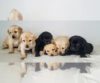 processed/75705f28-5093-4eb4-a50f-d8475c512313/facility/b62f5638-8962-4cce-8076-f5effc72e08a