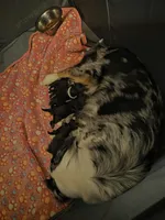 processed/75723cbe-17bf-43ff-881a-98e605475790/facility/7b8fd491-fc03-4b91-90df-eb4c50b4198b