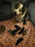 processed/75723cbe-17bf-43ff-881a-98e605475790/facility/b1c31291-383f-4455-8fc9-d11eae83eb45