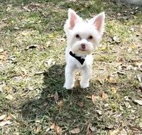 processed/758c19b9-f19b-44a7-be88-2752495cb6ff/facility/3888dbb4-dead-4dc0-a0e1-bd095f8e6042