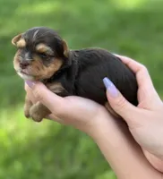 processed/758c19b9-f19b-44a7-be88-2752495cb6ff/facility/a08bff80-b785-4ba0-83cb-86db378cf1e0