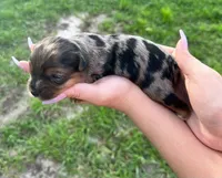 processed/758c19b9-f19b-44a7-be88-2752495cb6ff/facility/b3a6a68a-c16e-405f-b0ac-6172a99ba0c7