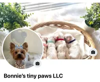 processed/758c19b9-f19b-44a7-be88-2752495cb6ff/facility/b4c17cd3-05e7-4eaf-a07e-436e9fbc32eb