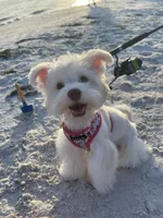 processed/758c19b9-f19b-44a7-be88-2752495cb6ff/facility/c39ca73e-01c8-42ac-bf59-16b59e54da51