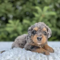 processed/75906167-5e05-4ae5-b94f-3c49535e2df9/facility/0763c9b2-fc4a-478f-996b-6ee771124e01