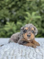 processed/75906167-5e05-4ae5-b94f-3c49535e2df9/facility/0763c9b2-fc4a-478f-996b-6ee771124e01