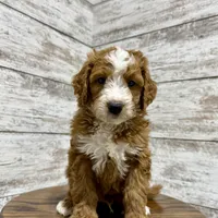 processed/75906167-5e05-4ae5-b94f-3c49535e2df9/facility/3303431d-366f-4237-821f-5d91dab5dc1e