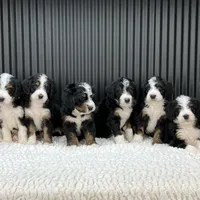 processed/75906167-5e05-4ae5-b94f-3c49535e2df9/facility/4e6ab7b5-0408-4105-a15f-44def72b3c50