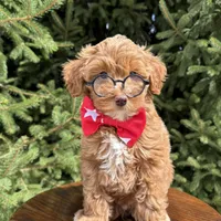 processed/75906167-5e05-4ae5-b94f-3c49535e2df9/facility/7090246d-abc5-4b41-a987-02b300b5d3b6