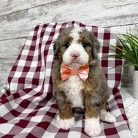 processed/75906167-5e05-4ae5-b94f-3c49535e2df9/facility/73448d7a-d3f1-45da-9916-3a95814c2457