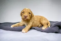 processed/75906167-5e05-4ae5-b94f-3c49535e2df9/facility/ad2c472d-a1e8-40af-b365-c19ac6baa6bf