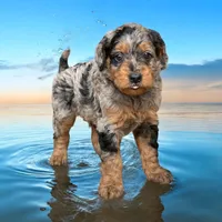 processed/75906167-5e05-4ae5-b94f-3c49535e2df9/facility/b3dfcba6-7dc2-4388-a5f0-898dca339bde