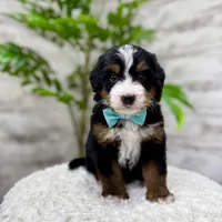 processed/75906167-5e05-4ae5-b94f-3c49535e2df9/facility/b9464731-c35a-4081-94fb-48c3290f1e09