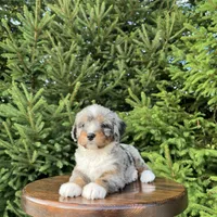 processed/75906167-5e05-4ae5-b94f-3c49535e2df9/facility/d0edcdde-134d-40e7-8217-fe9796edd51e