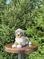 processed/75906167-5e05-4ae5-b94f-3c49535e2df9/facility/d0edcdde-134d-40e7-8217-fe9796edd51e