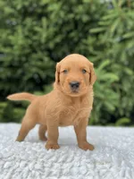 processed/75906167-5e05-4ae5-b94f-3c49535e2df9/facility/f4ad278c-d375-41b3-8cb8-a81f706bfc2c