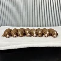 processed/75906167-5e05-4ae5-b94f-3c49535e2df9/facility/f9137c6c-1ade-49a7-a3e8-fba9600a94c0