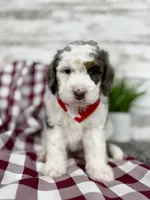 processed/75906167-5e05-4ae5-b94f-3c49535e2df9/listing/2d007609-e020-42ec-a5d1-b351049ff9bc/00d665c3-3d5a-4e9e-9942-4239afd0a379