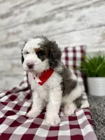 processed/75906167-5e05-4ae5-b94f-3c49535e2df9/listing/2d007609-e020-42ec-a5d1-b351049ff9bc/203c1d73-6436-41b0-9466-d695617c9d4d