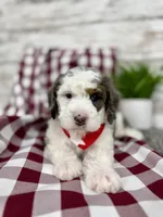 processed/75906167-5e05-4ae5-b94f-3c49535e2df9/listing/2d007609-e020-42ec-a5d1-b351049ff9bc/893382da-0f64-4a93-b143-c525ad8e97bb