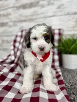 processed/75906167-5e05-4ae5-b94f-3c49535e2df9/listing/2d007609-e020-42ec-a5d1-b351049ff9bc/8a6619fd-34cc-41de-ba5e-22abefad2203