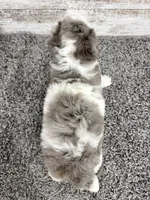 processed/75906167-5e05-4ae5-b94f-3c49535e2df9/listing/2d007609-e020-42ec-a5d1-b351049ff9bc/a9413755-30d8-4073-a2cb-4d5ec633e811