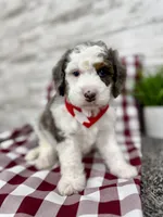 processed/75906167-5e05-4ae5-b94f-3c49535e2df9/listing/2d007609-e020-42ec-a5d1-b351049ff9bc/c6f7817d-9ed8-427a-b773-a2df5a730b34