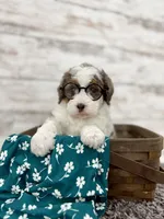 processed/75906167-5e05-4ae5-b94f-3c49535e2df9/listing/f231a049-e210-4abe-9376-ee526787a72b/43c25f7a-522d-44aa-88c3-f0455d98dbc2