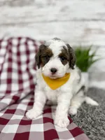 processed/75906167-5e05-4ae5-b94f-3c49535e2df9/listing/f231a049-e210-4abe-9376-ee526787a72b/72bf8223-fdc7-45fc-8c29-e0afe562435a