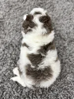 processed/75906167-5e05-4ae5-b94f-3c49535e2df9/listing/f231a049-e210-4abe-9376-ee526787a72b/c64ffb47-3171-4d7a-a5bd-6816325b8723