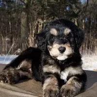 processed/759424f9-052a-467b-a403-1b28f68efb28/facility/1dedf835-94bd-4e4b-871a-6c5f880afc62