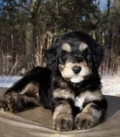 processed/759424f9-052a-467b-a403-1b28f68efb28/facility/1dedf835-94bd-4e4b-871a-6c5f880afc62