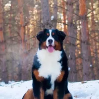 processed/759424f9-052a-467b-a403-1b28f68efb28/facility/4f0f15f2-68f3-4033-86e9-91bfd16d1694