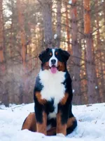 processed/759424f9-052a-467b-a403-1b28f68efb28/facility/4f0f15f2-68f3-4033-86e9-91bfd16d1694